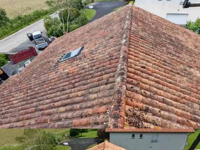 Toiture assainie après démoussage vapeur dans les Landes, vue d'ensemble